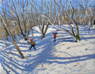 Frühlingsschnee, Newhaven Derbyshire, 2008